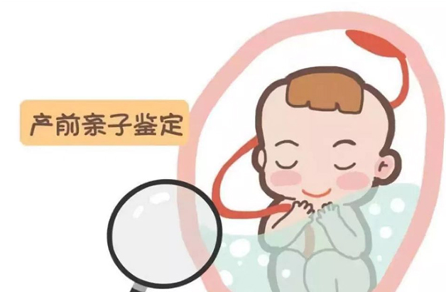 吉林怀孕4周要如何办理DNA亲子鉴定,吉林产前亲子鉴定多少钱